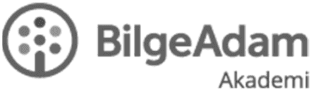 BilgeAdam Akademi